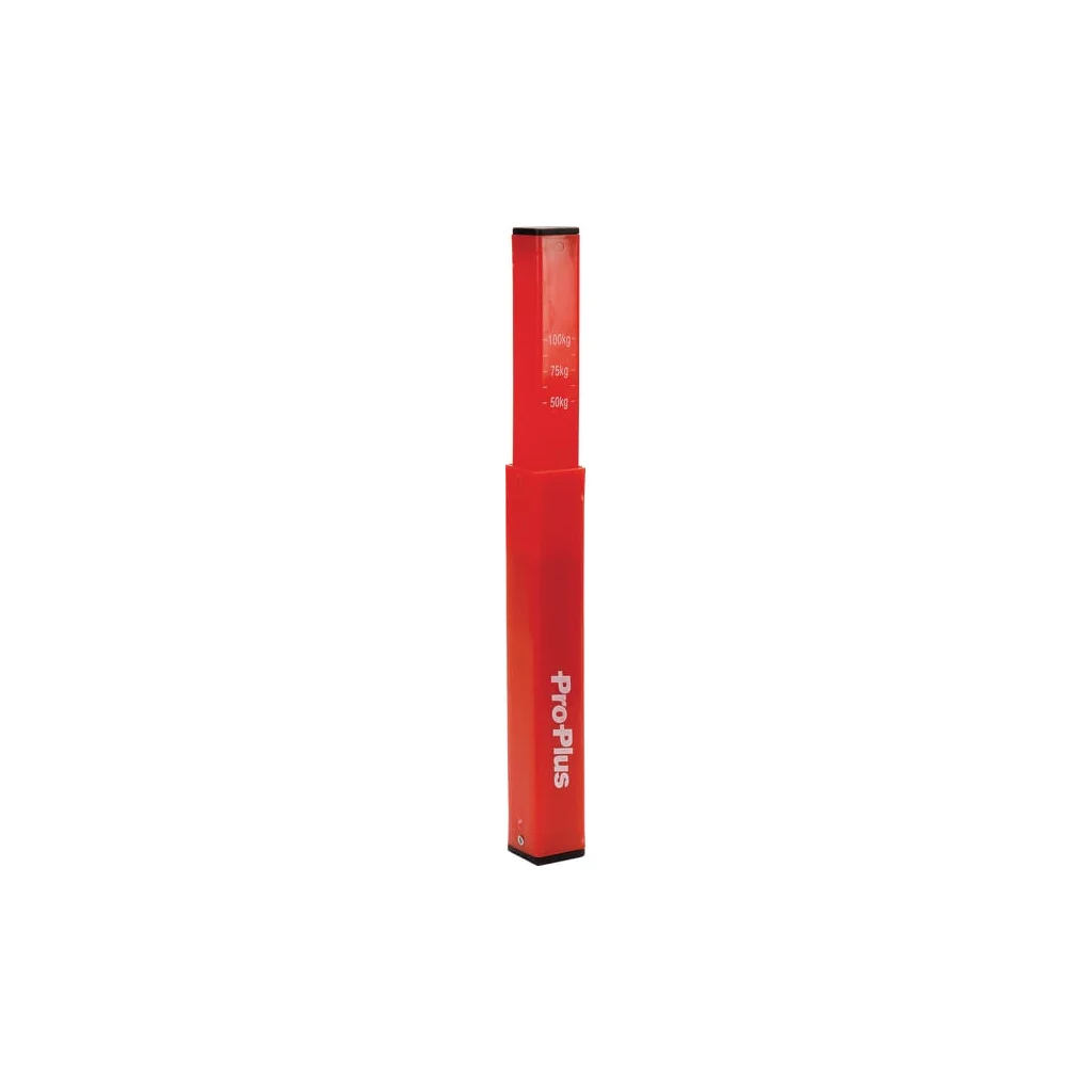 [AMAT2-251805] Indicator accelerație cu bilă AH16008150