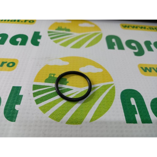 [AMAT1-14817] O-Ring 2.1530.062.0