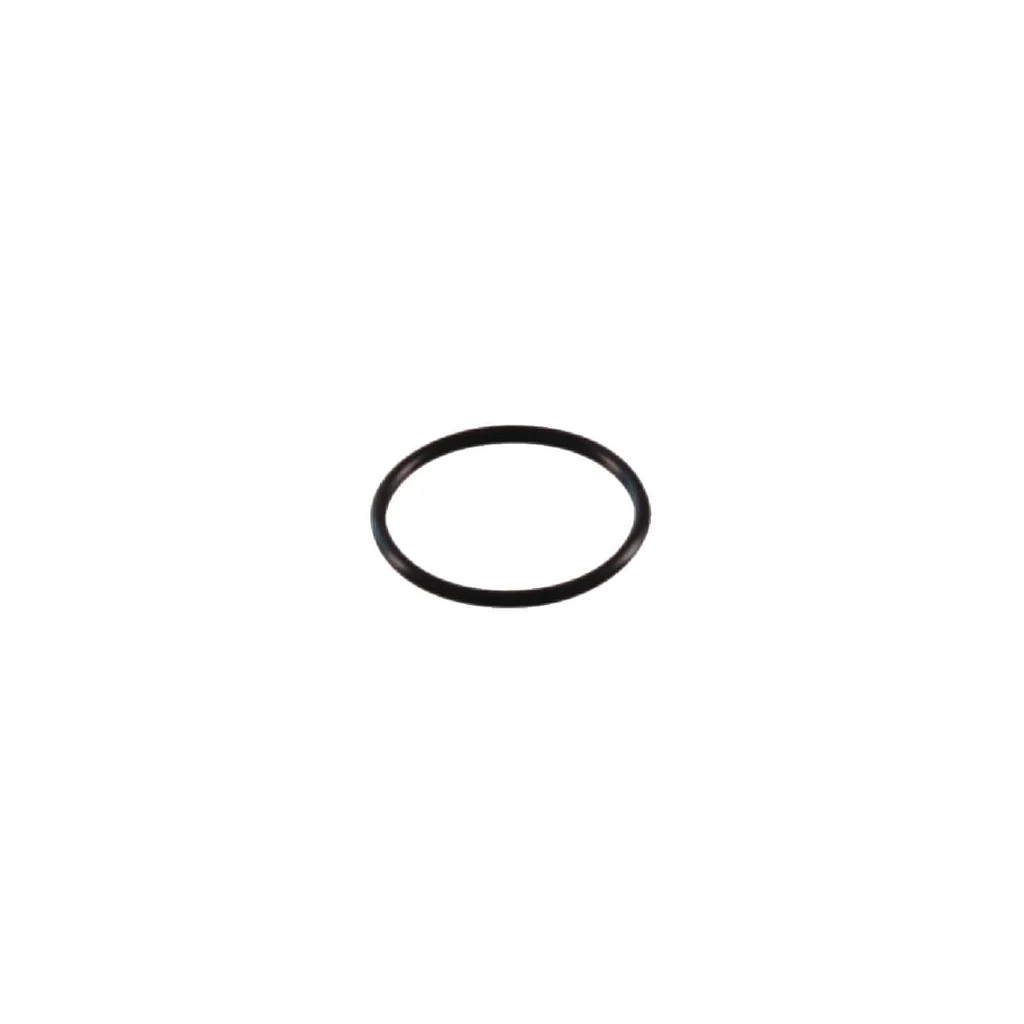 [AMAT2-252188] O-ring 31,00/2,50 AK401495