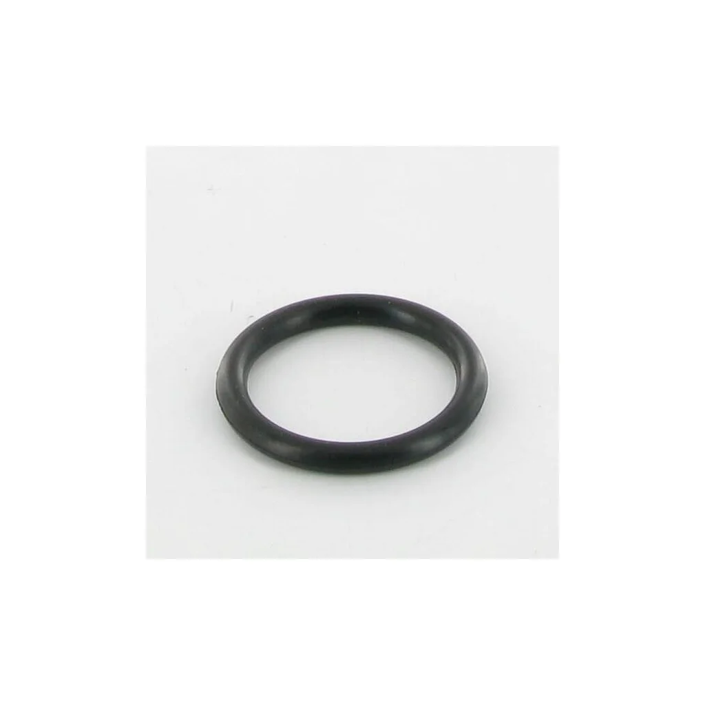 [AMAT2-252685] O-ring 15/2,78 AK401481