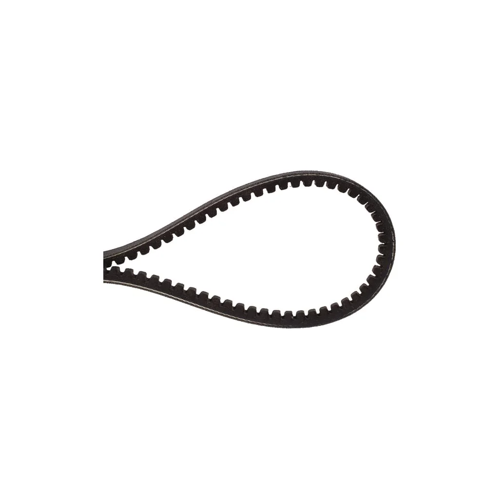 [AMAT2-252753] Curea AK470366