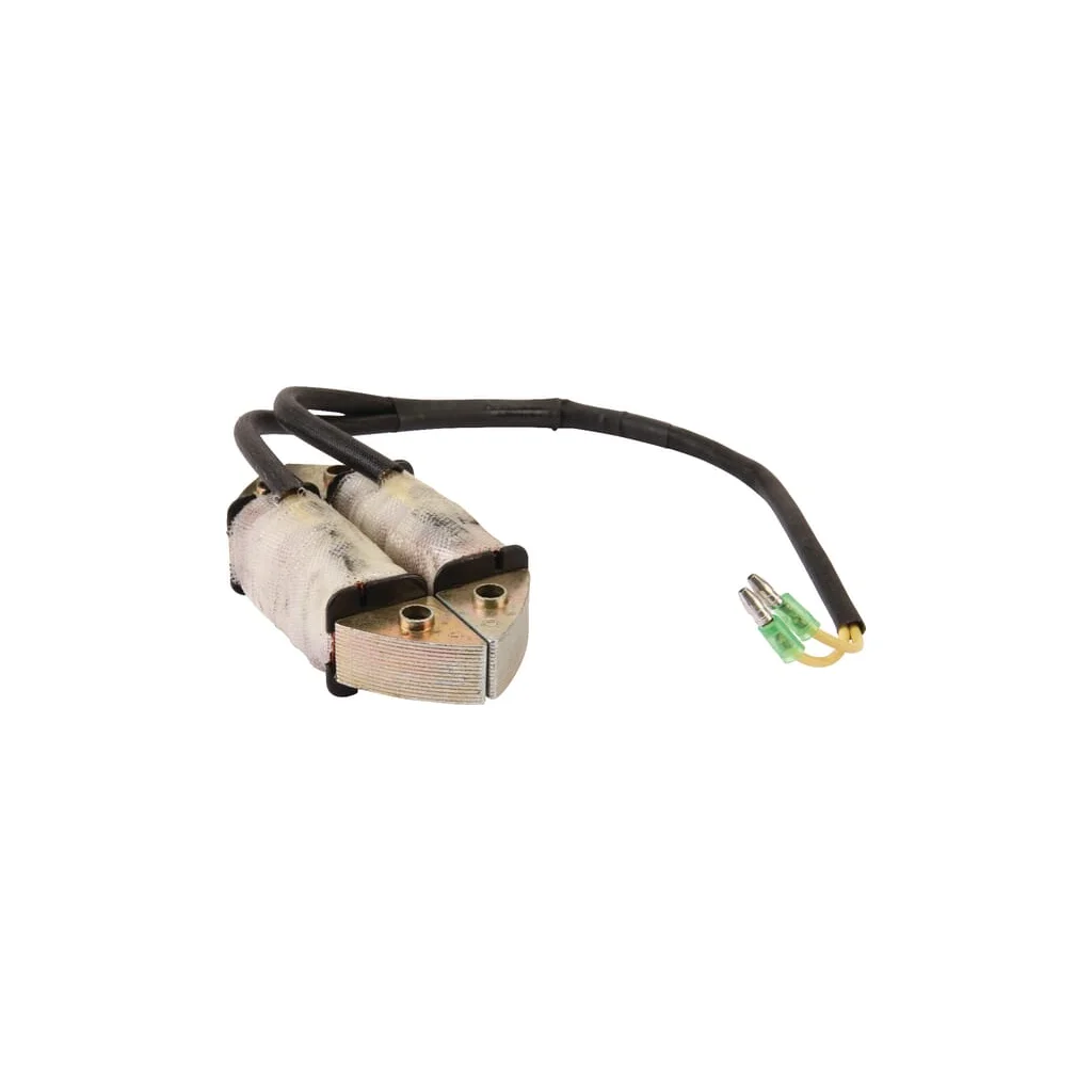 [AMAT2-252891] Stator alternator AK455199