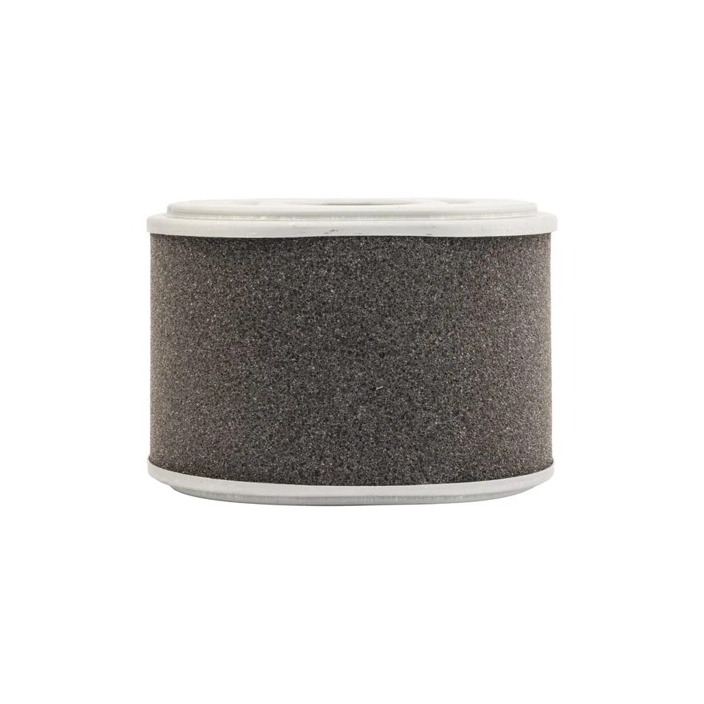 [AMAT2-263134] Filtru aer C10015