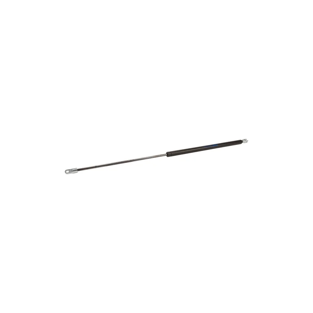 [AMAT2-253491] Amortizor gaz AK514885