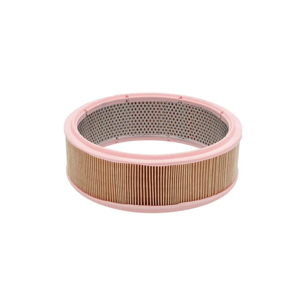 [AMAT2-263171] Filtru aer C2651