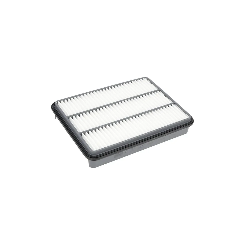 [AMAT2-264266] Filtru de aer C31007