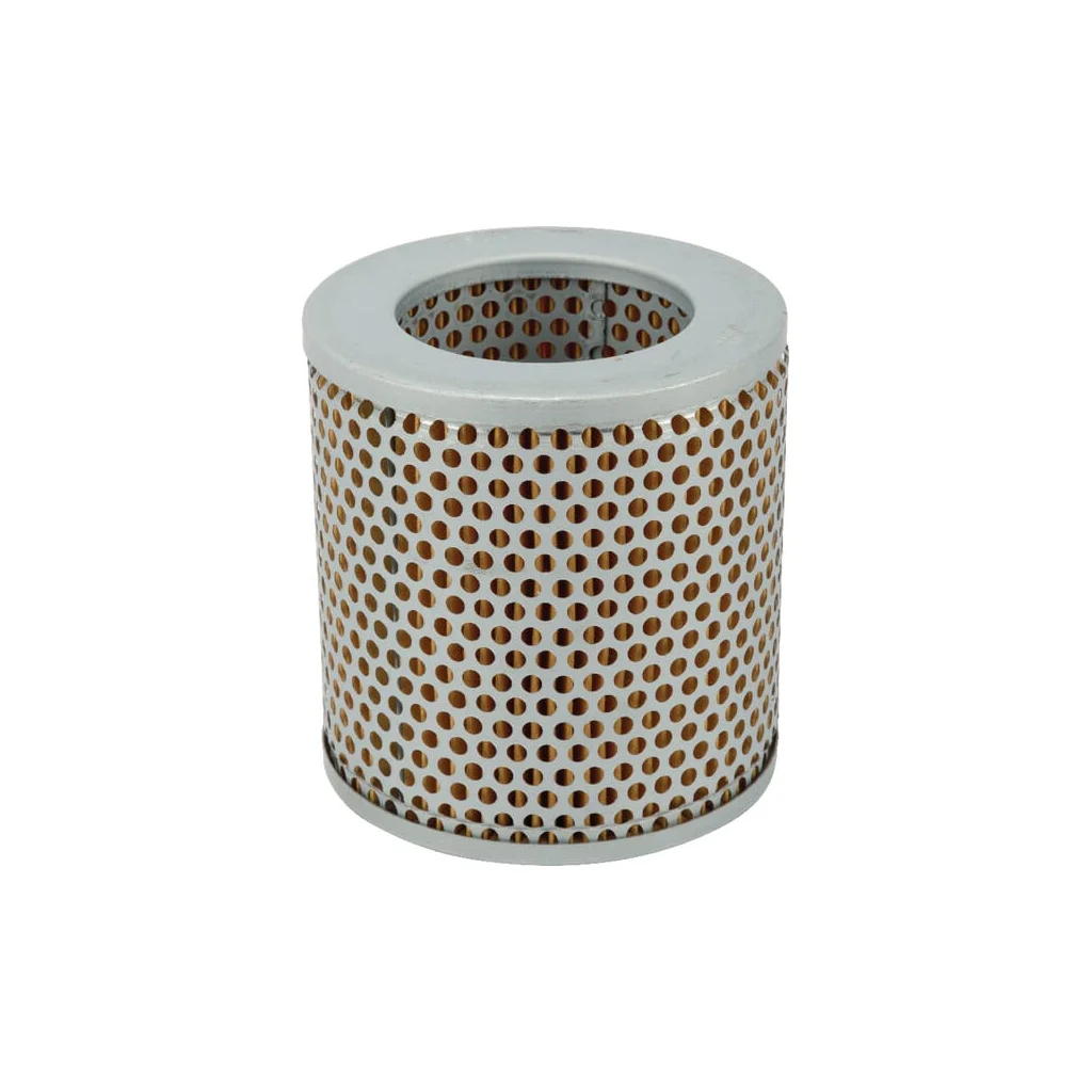 [AMAT2-263219] Filtru de aer Mann Filter C1132