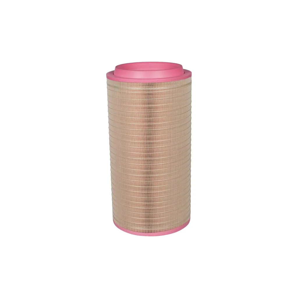 [AMAT2-264414] Element filtru aer C308103