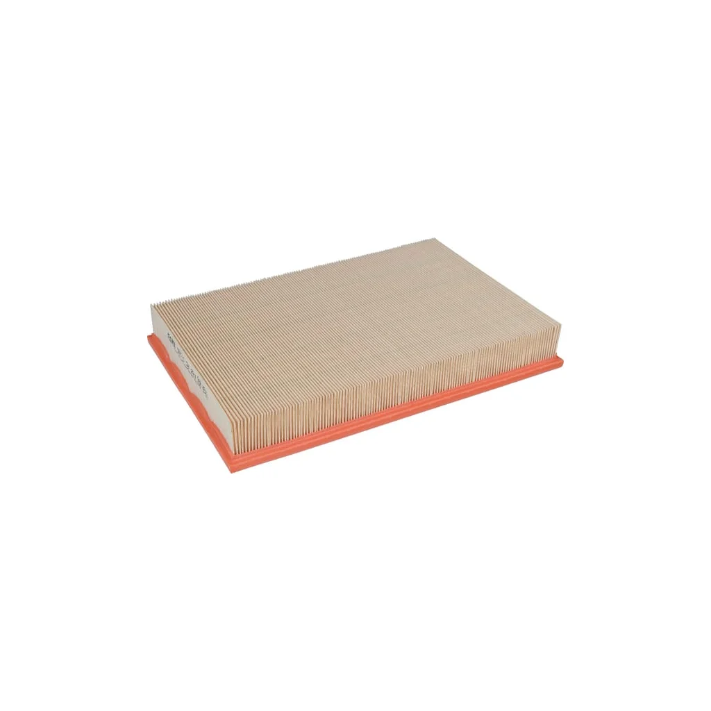 [AMAT2-264739] Element filtru aer C36221
