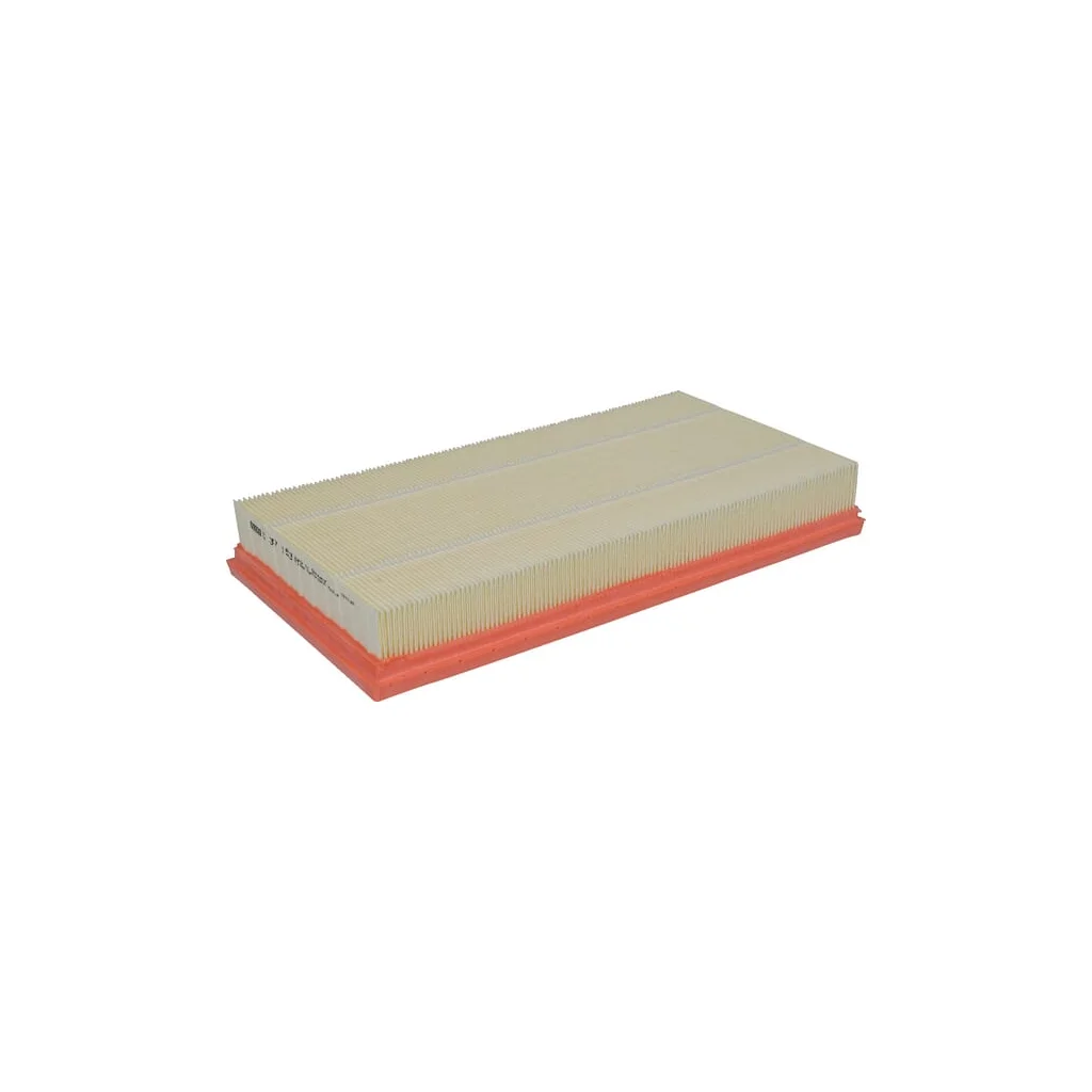 [AMAT2-264838] Element filtru aer C37153