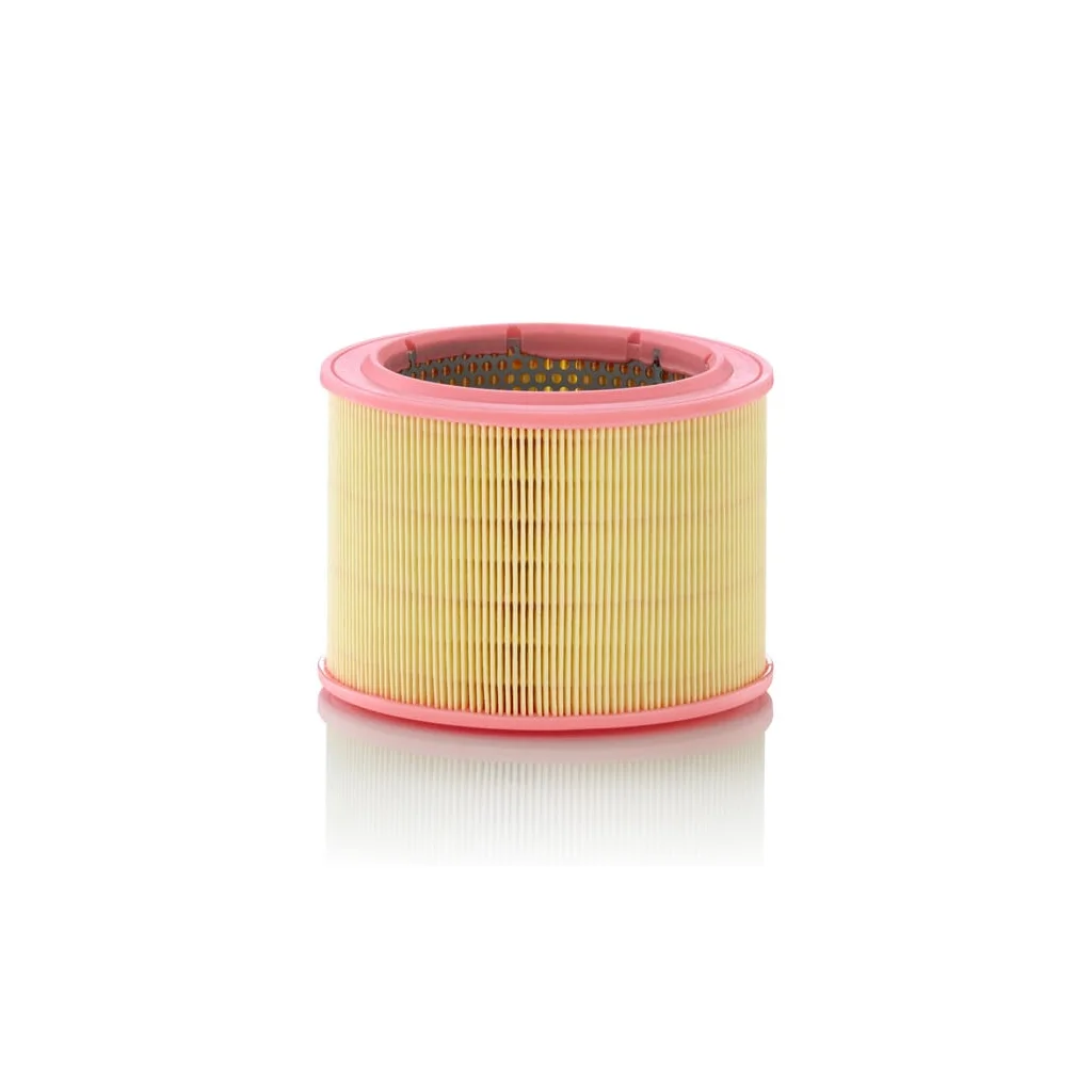 [AMAT2-263241] Filtru de aer C17601