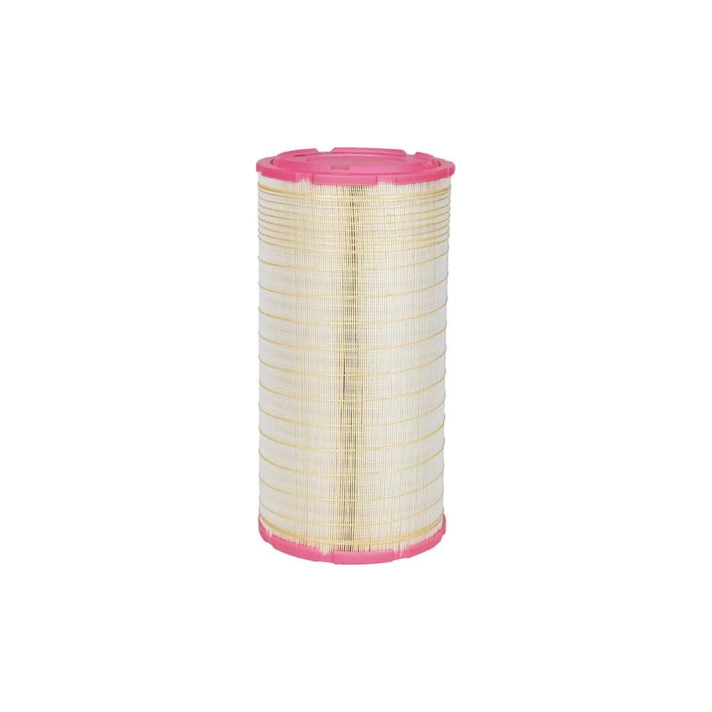 [AMAT2-263247] Element filtru aer C249042
