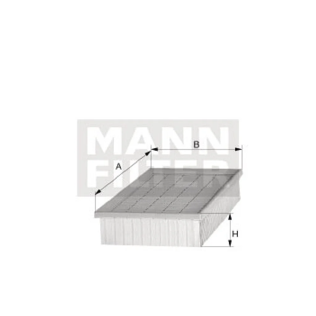 [AMAT2-265051] Element filtru aer C32191