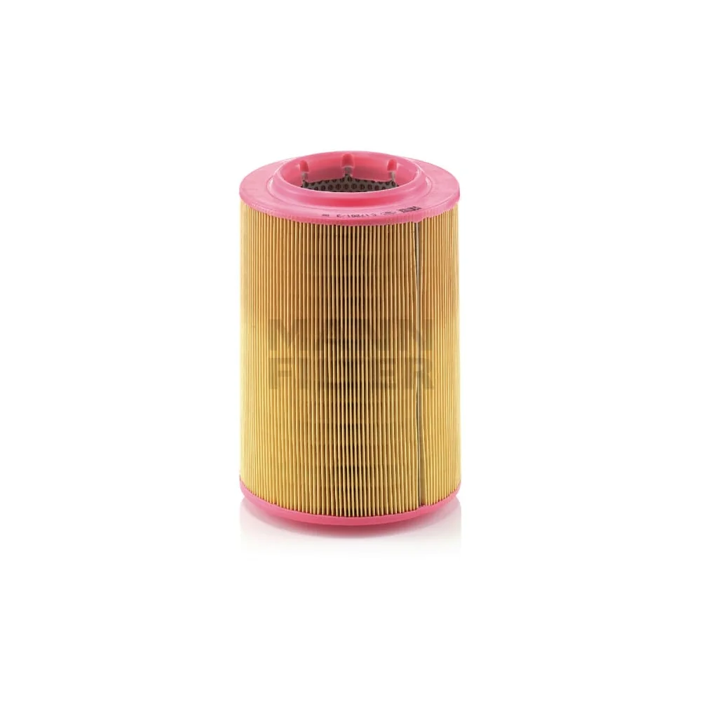 [AMAT2-263266] Filtru aer, Mann Filter C172013
