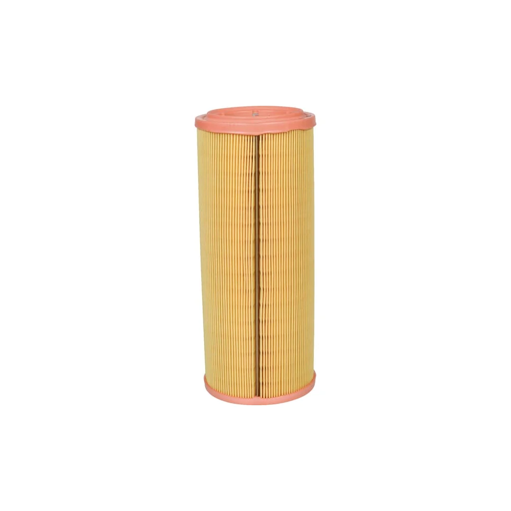 [AMAT2-263309] Element filtru aer C1189