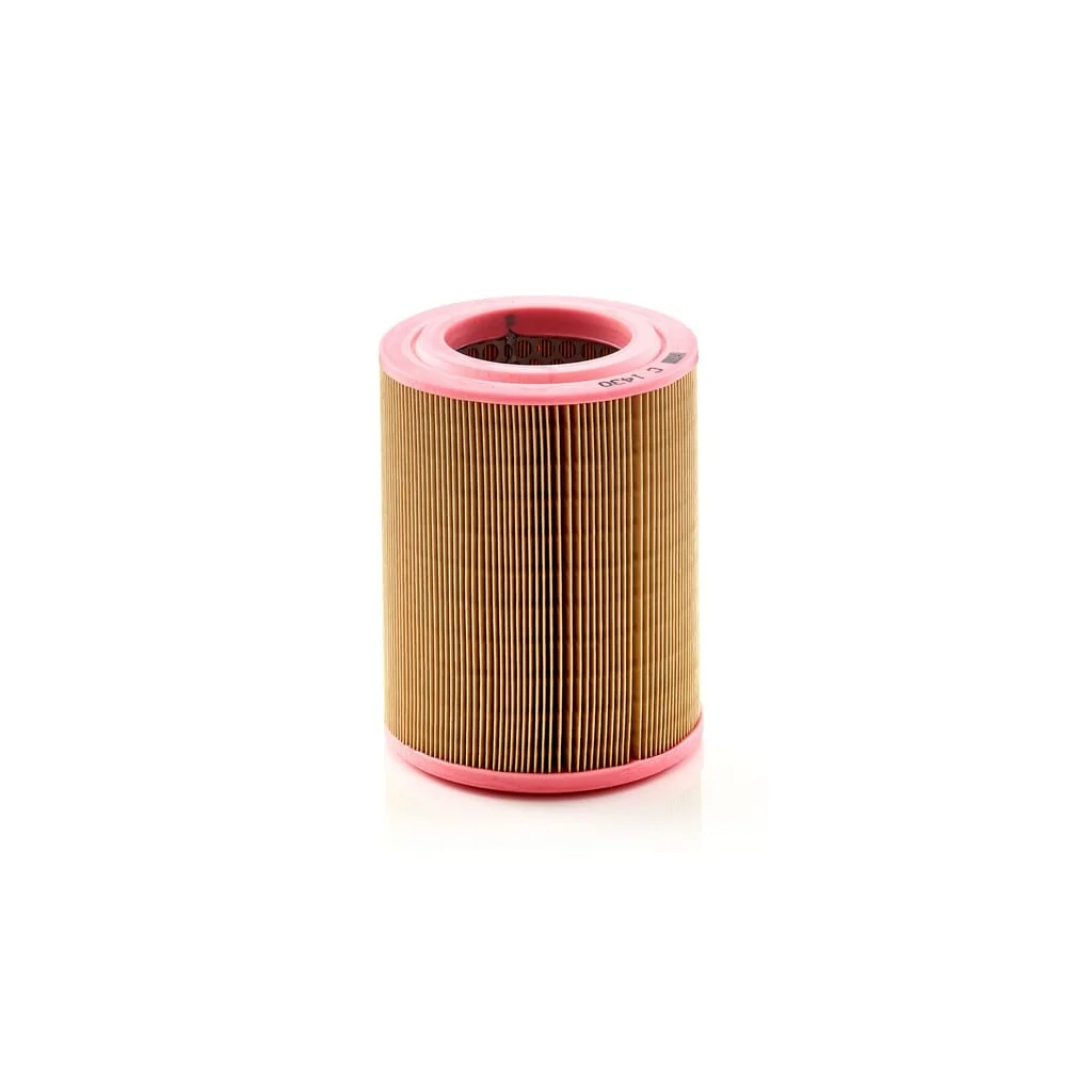 [AMAT2-263314] Filtru de aer C1430