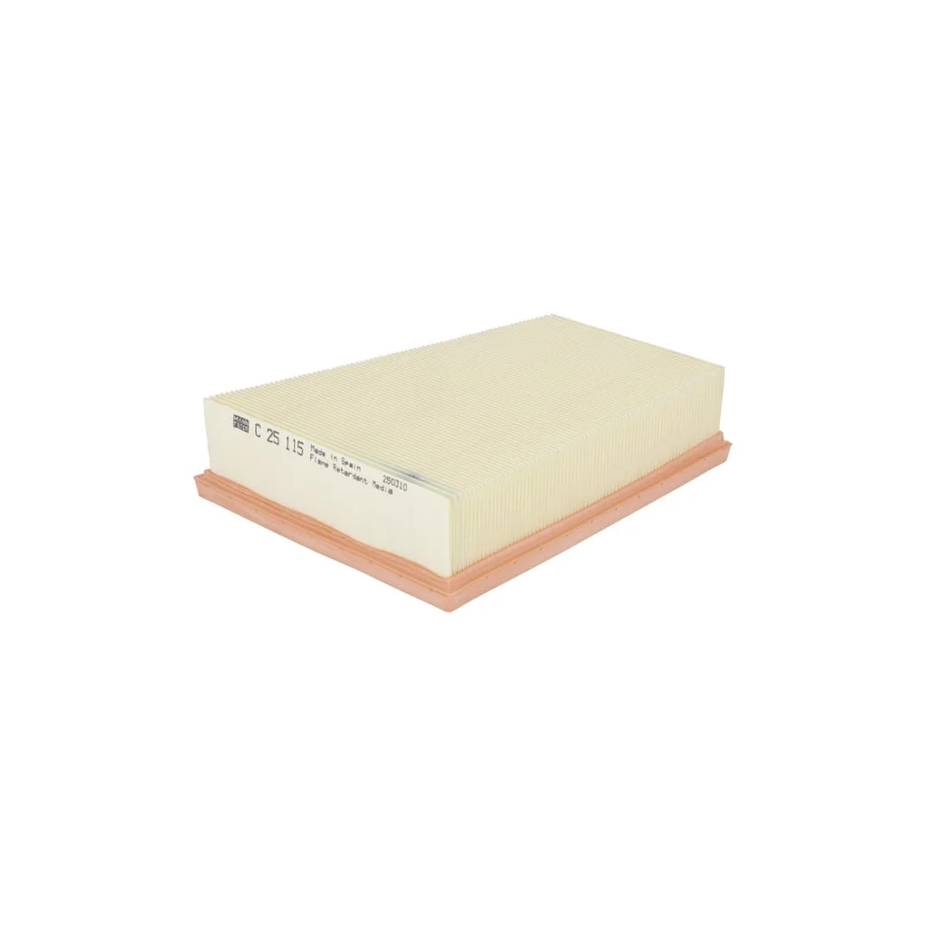 [AMAT2-263323] Filtru aer C25115