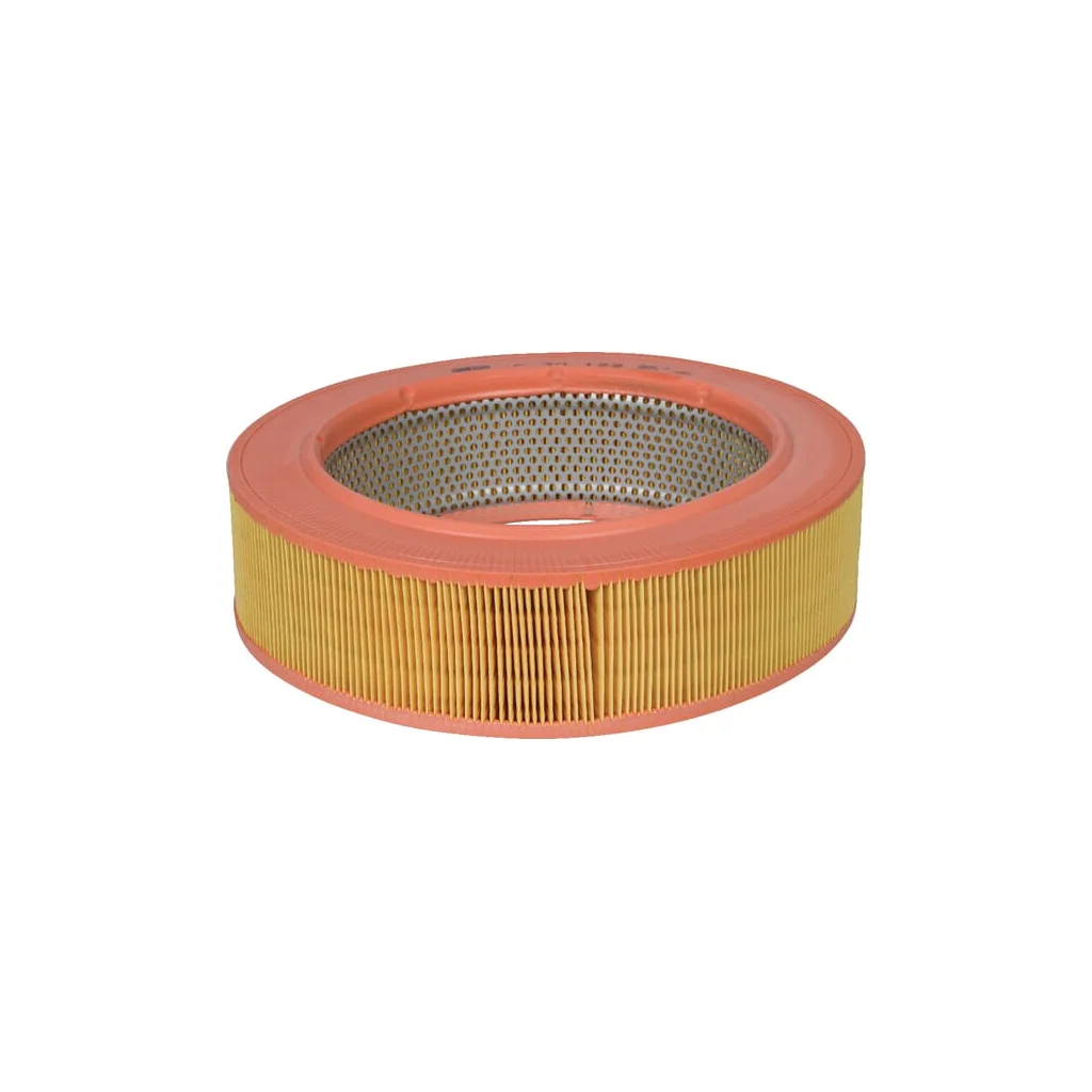 [AMAT2-263386] Element filtru aer C30122