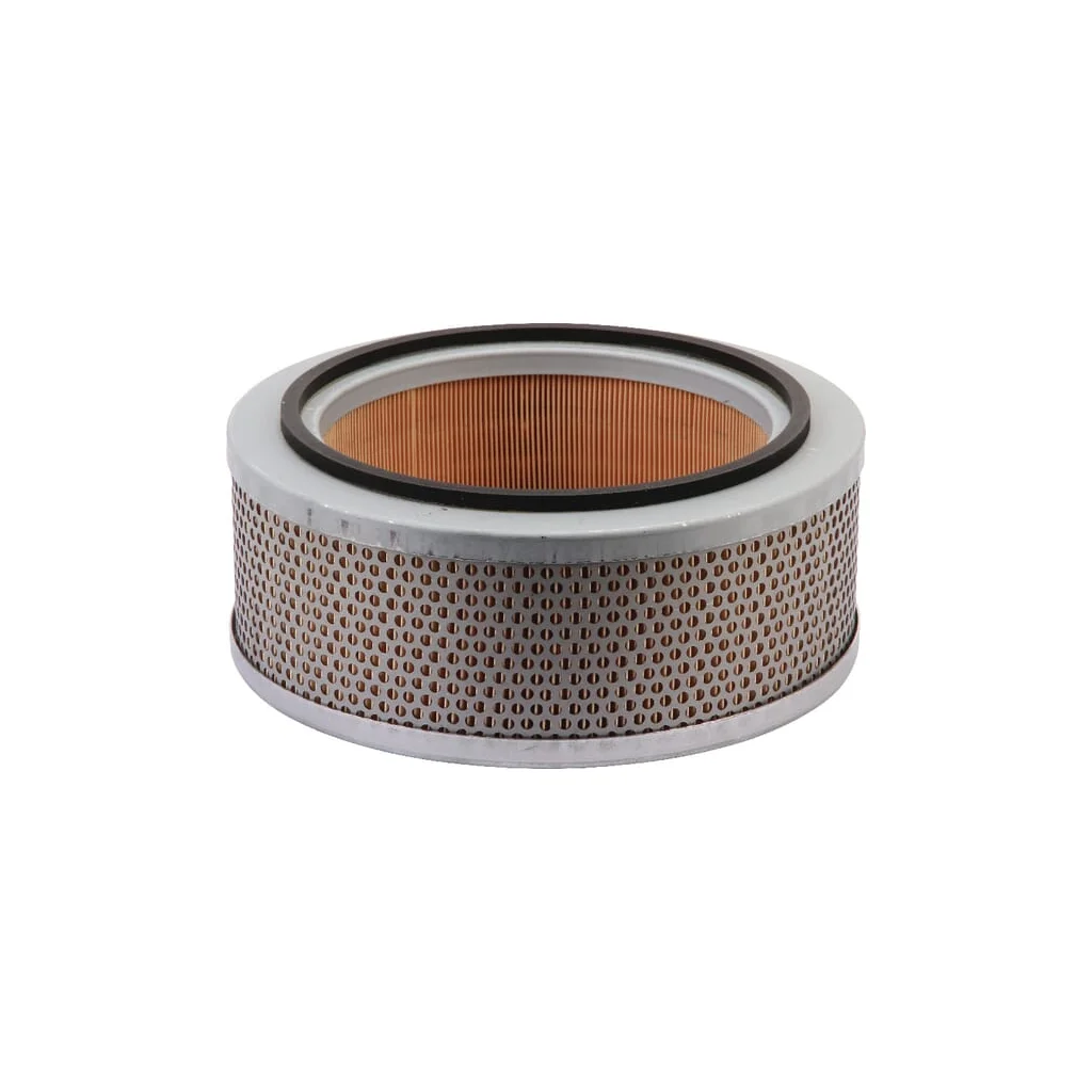 [AMAT2-263414] Element filtru aer C22115