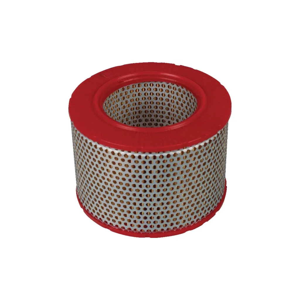 [AMAT2-263418] Element filtru aer C15556