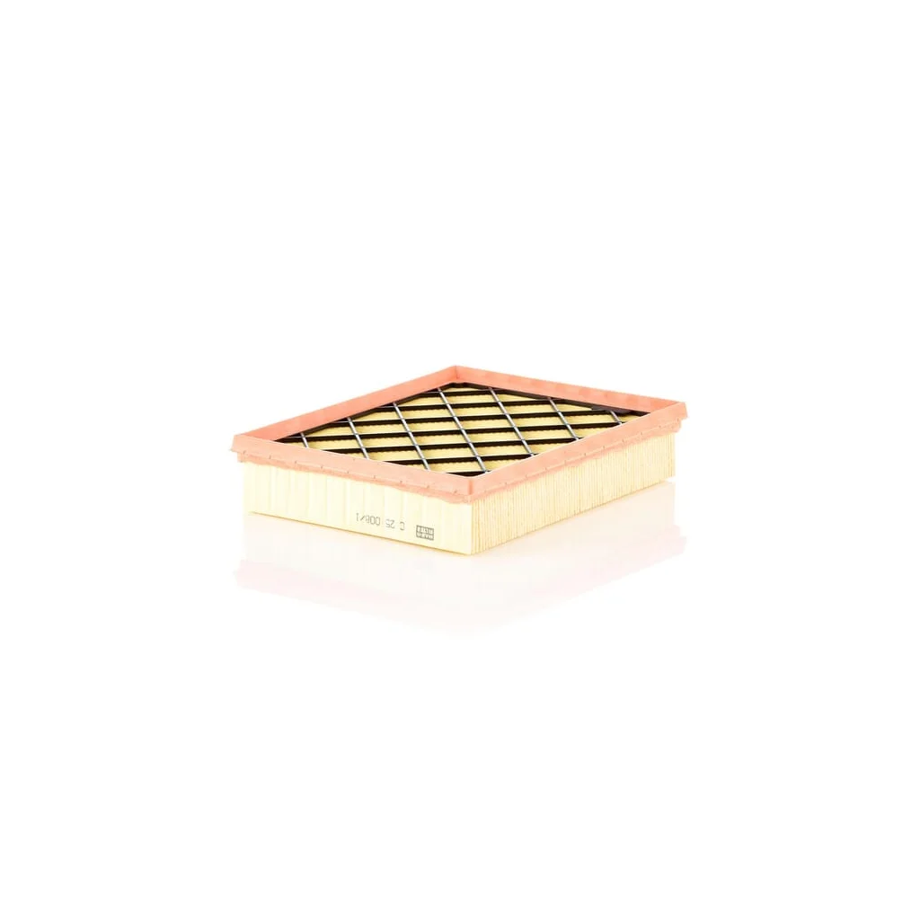 [AMAT2-263419] Filtru de aer C250081