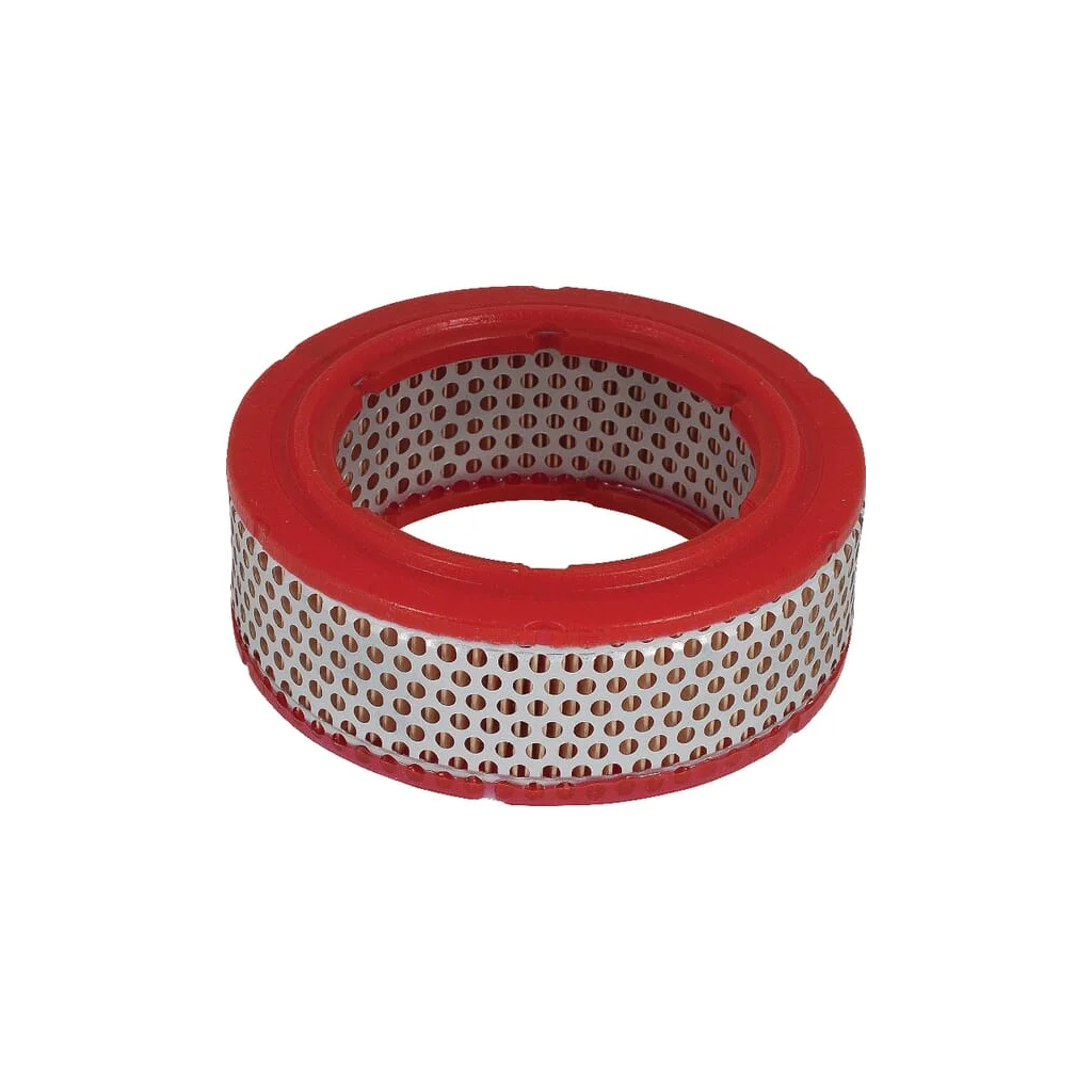 [AMAT2-263433] Element filtru aer C1415