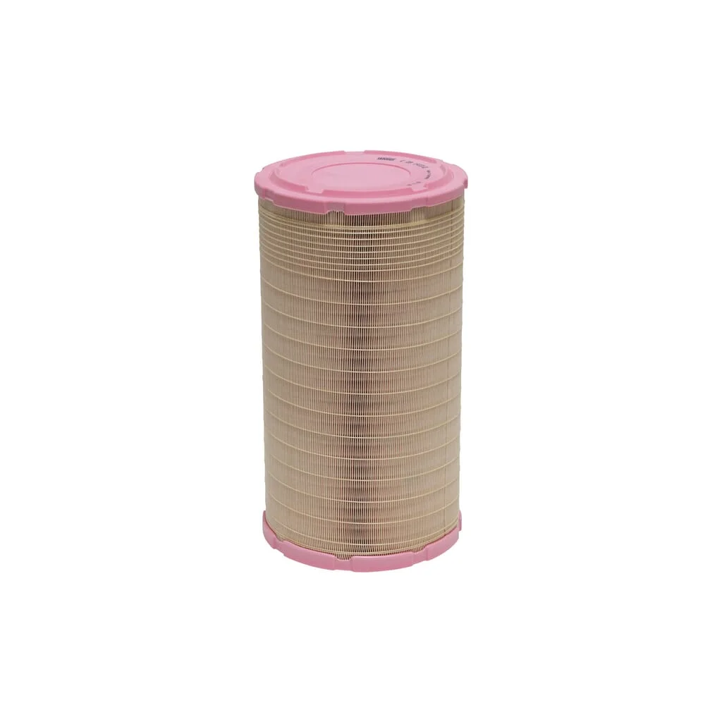 [AMAT2-263462] Filtru aer C2914102