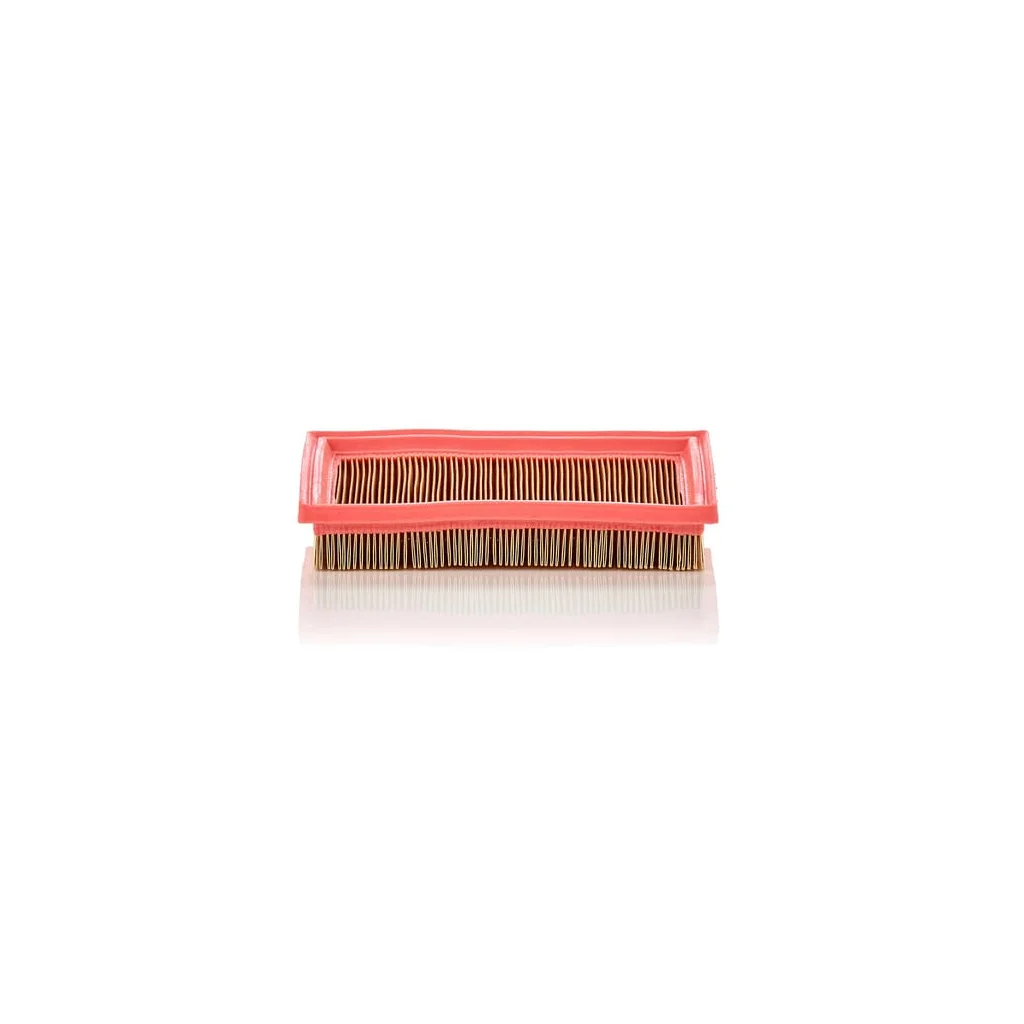 [AMAT2-263467] Filtru aer C2244