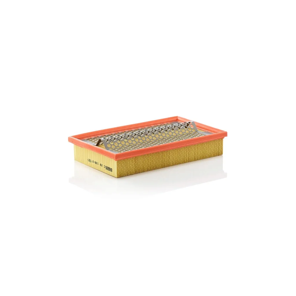 [AMAT2-263508] Filtru aer C291262