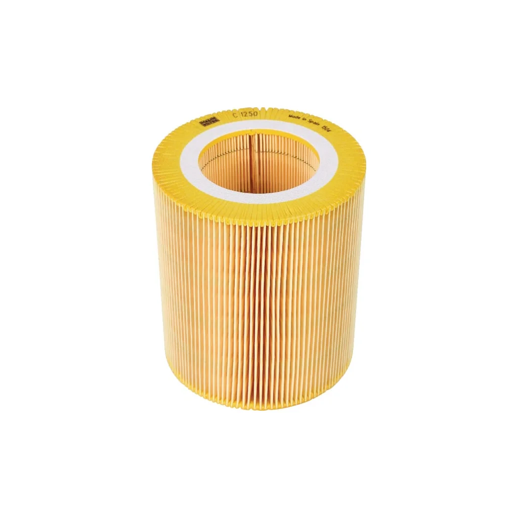 [AMAT2-263560] Element filtru aer C1250