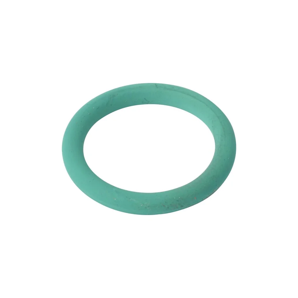 [AMAT2-268944] O-ring CI028111