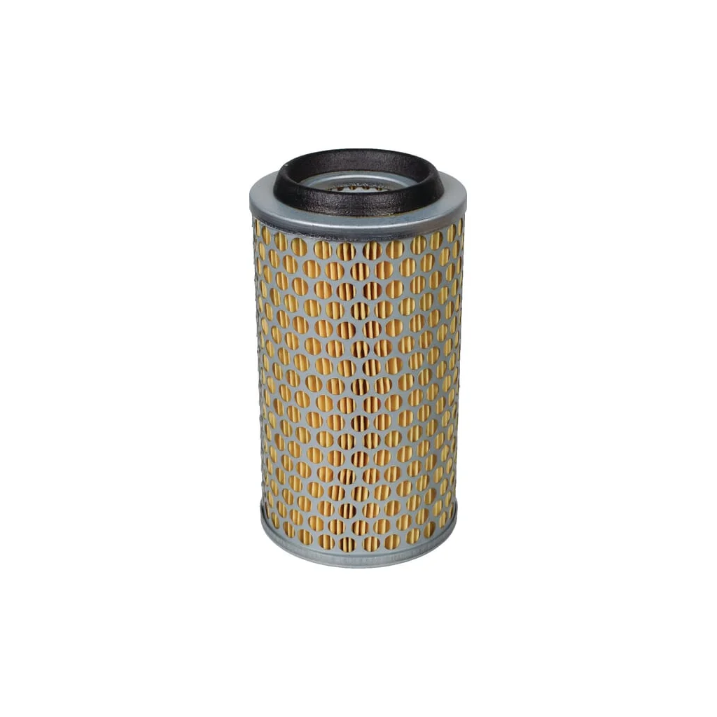[AMAT2-263624] Element filtru de aer C10431