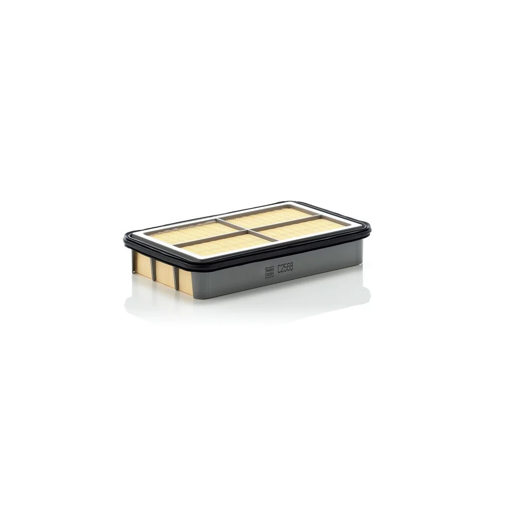 [AMAT2-263655] Element filtru aer C2568