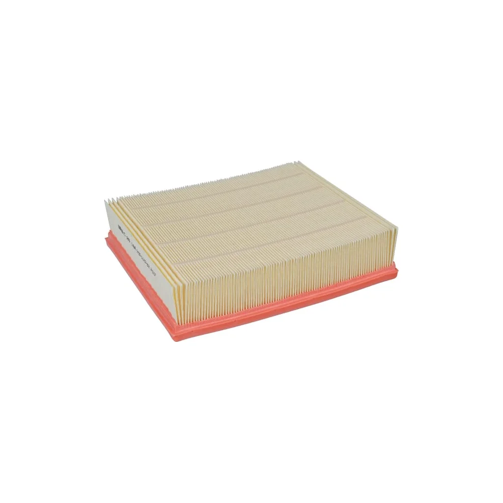 [AMAT2-263658] Element filtru aer C26168