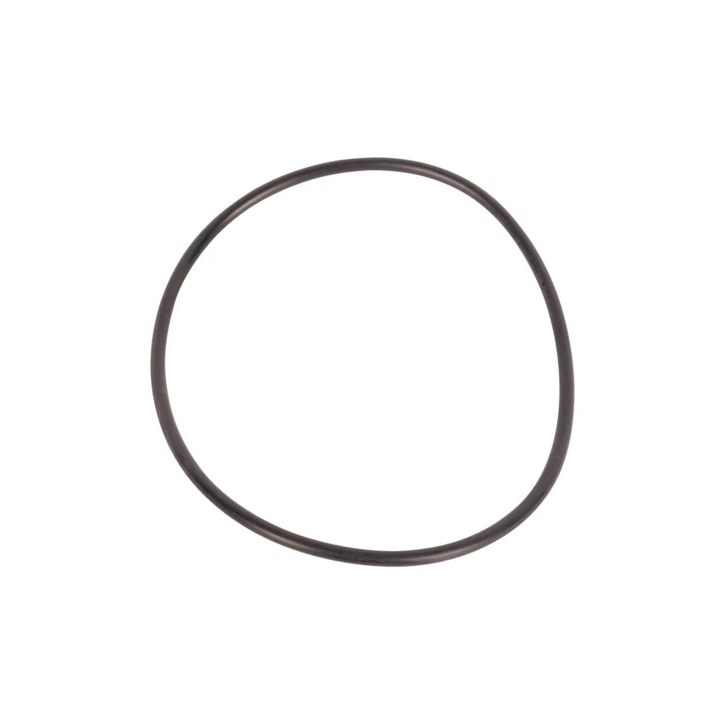 [AMAT2-269001] O-ring CI028606