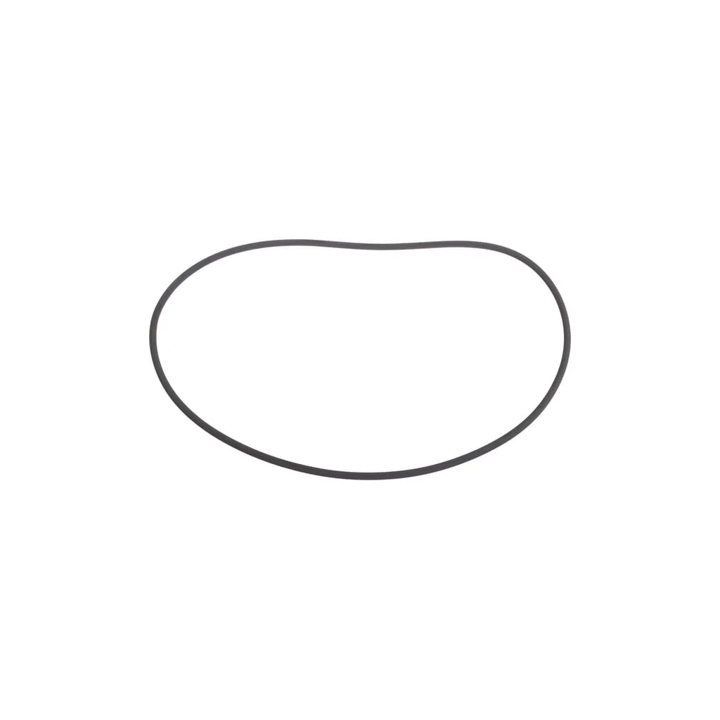 [AMAT2-269168] O-ring CI139231