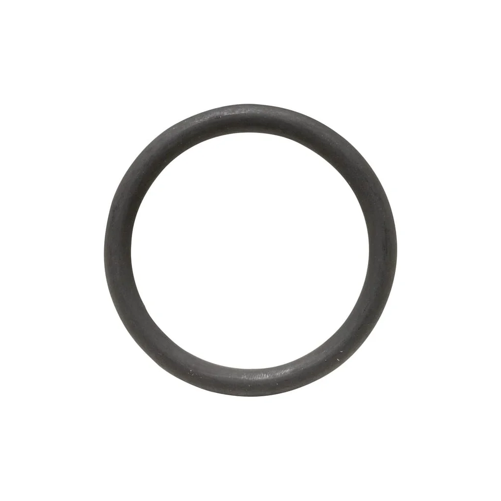 [AMAT2-269199] Garnitură inelară CI642218