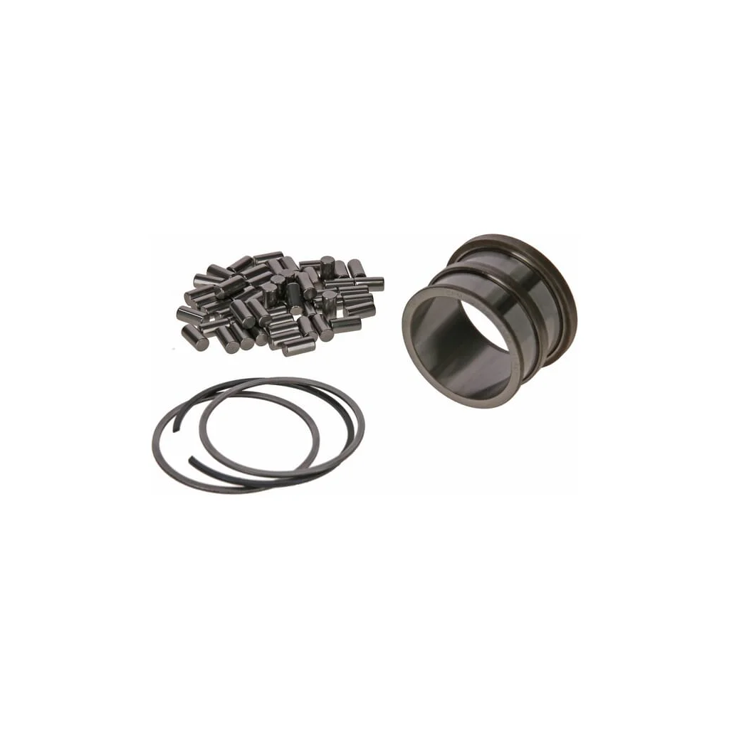 [AMAT2-269235] Rulment cu role cilindrice CI642513