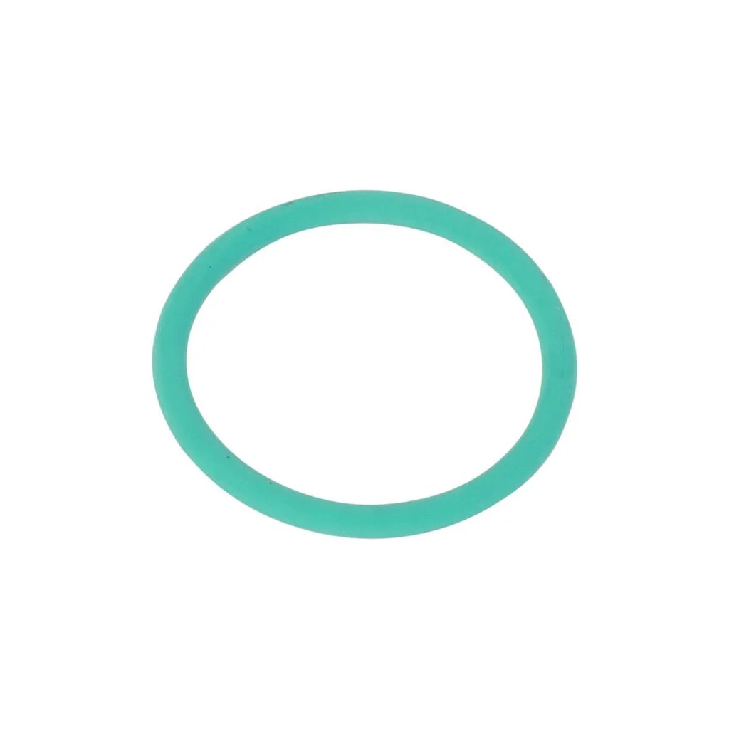 [AMAT2-269287] O-ring CI831455