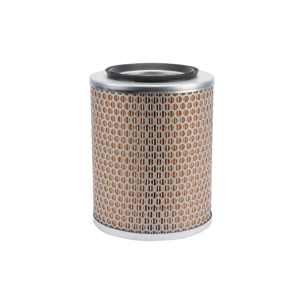 [AMAT2-263701] Element filtru de aer C17134