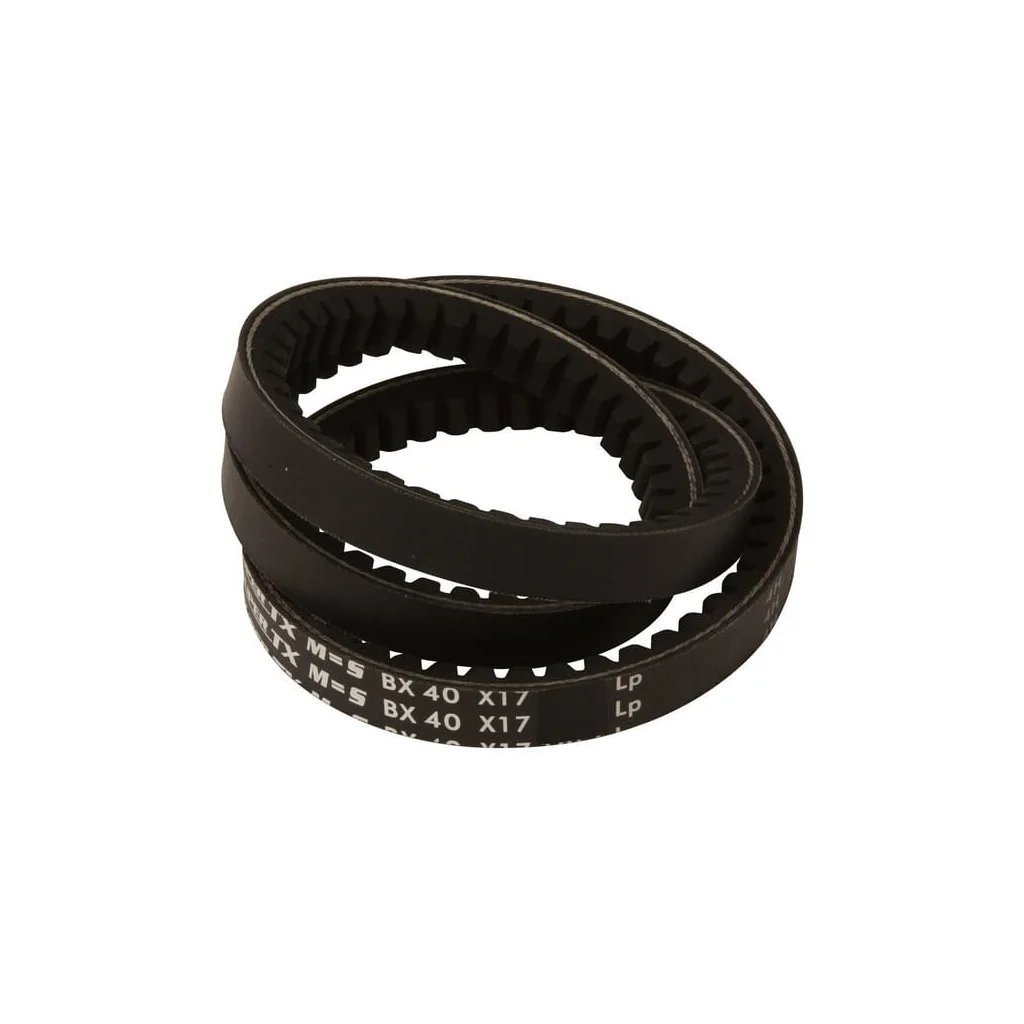 [AMAT2-263724] Curele cu margini dințate BX171690