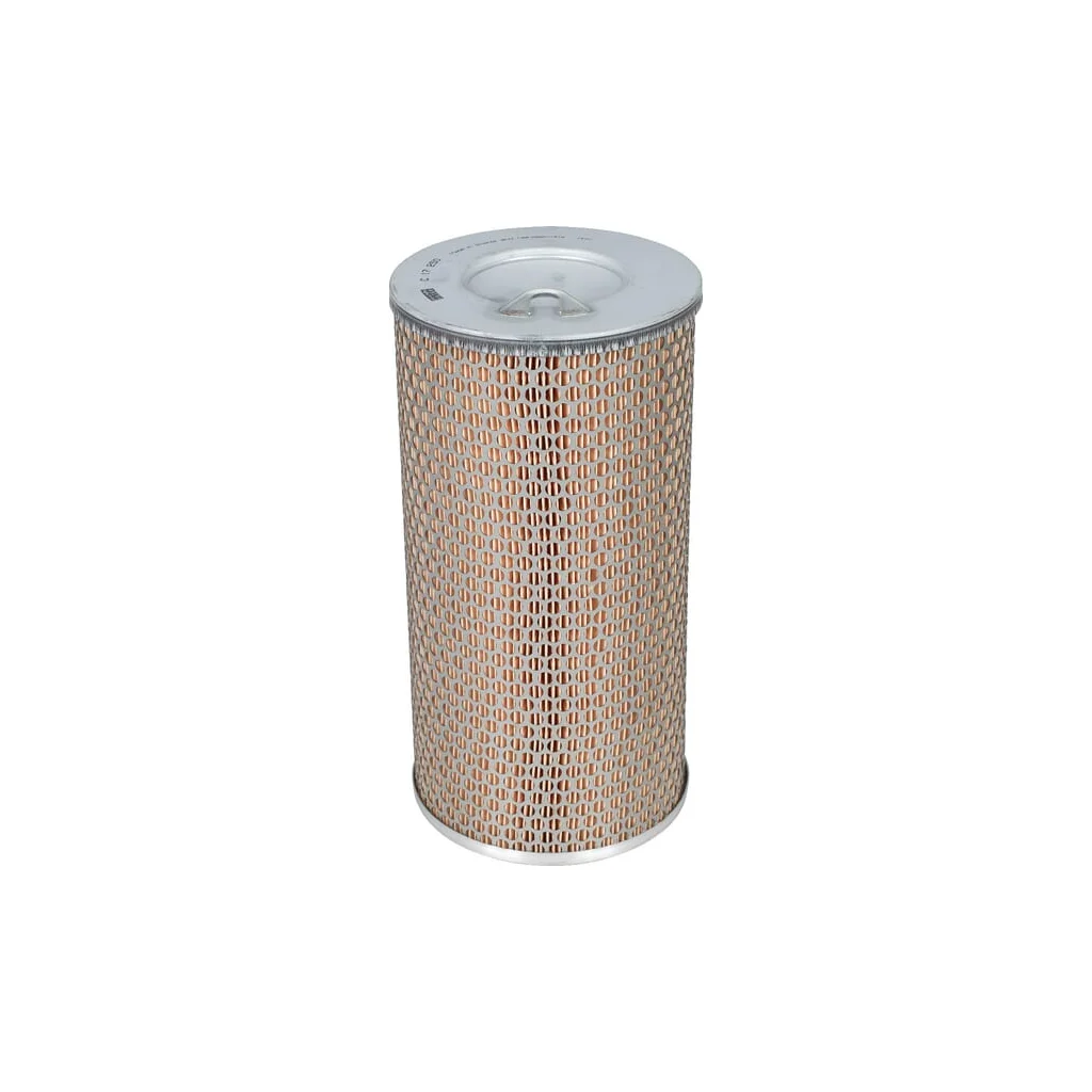 [AMAT2-263735] Element filtru de aer C17250