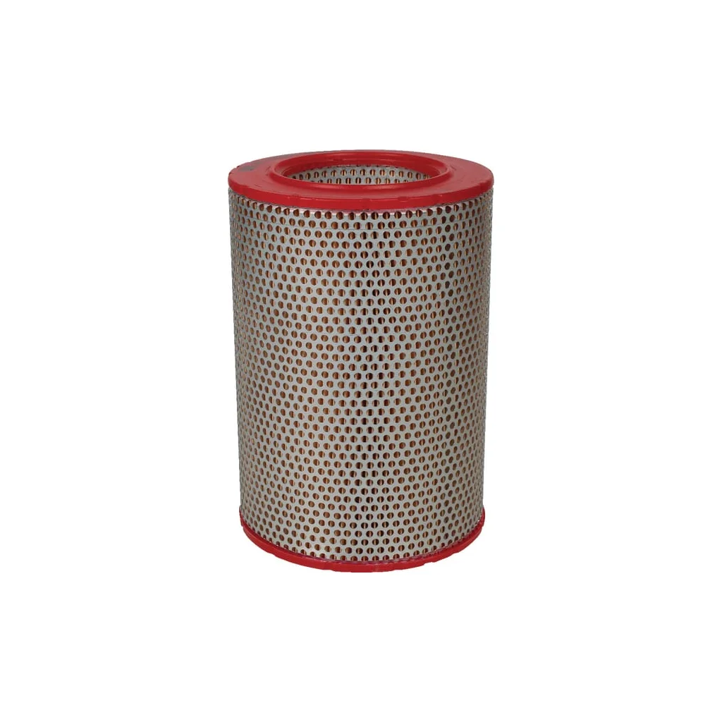[AMAT2-263777] Element filtru aer C161621