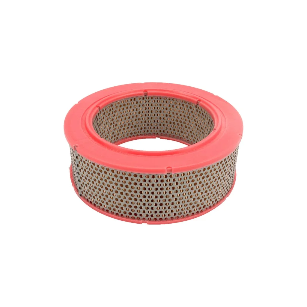 [AMAT2-263778] Element filtru aer C2263