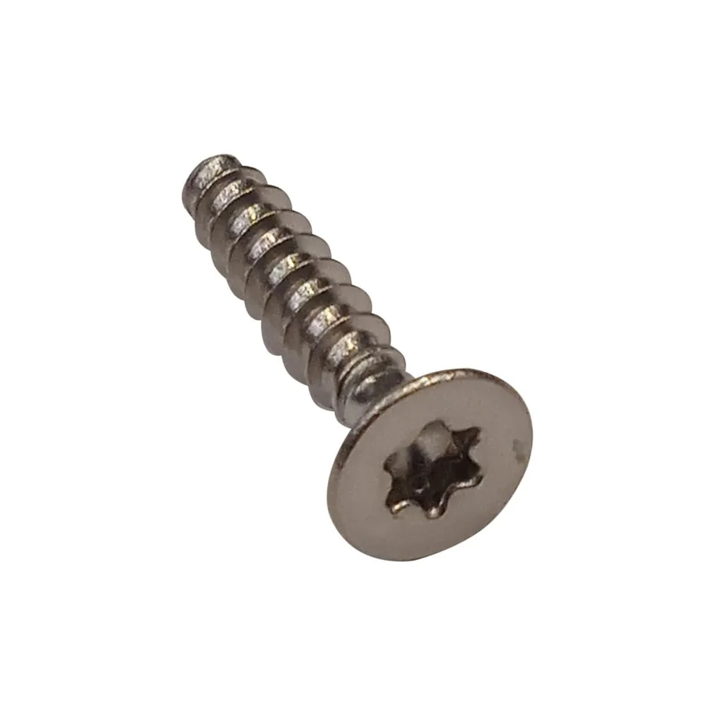 [AMAT2-263809] Șurub Torx 4x20 C02571