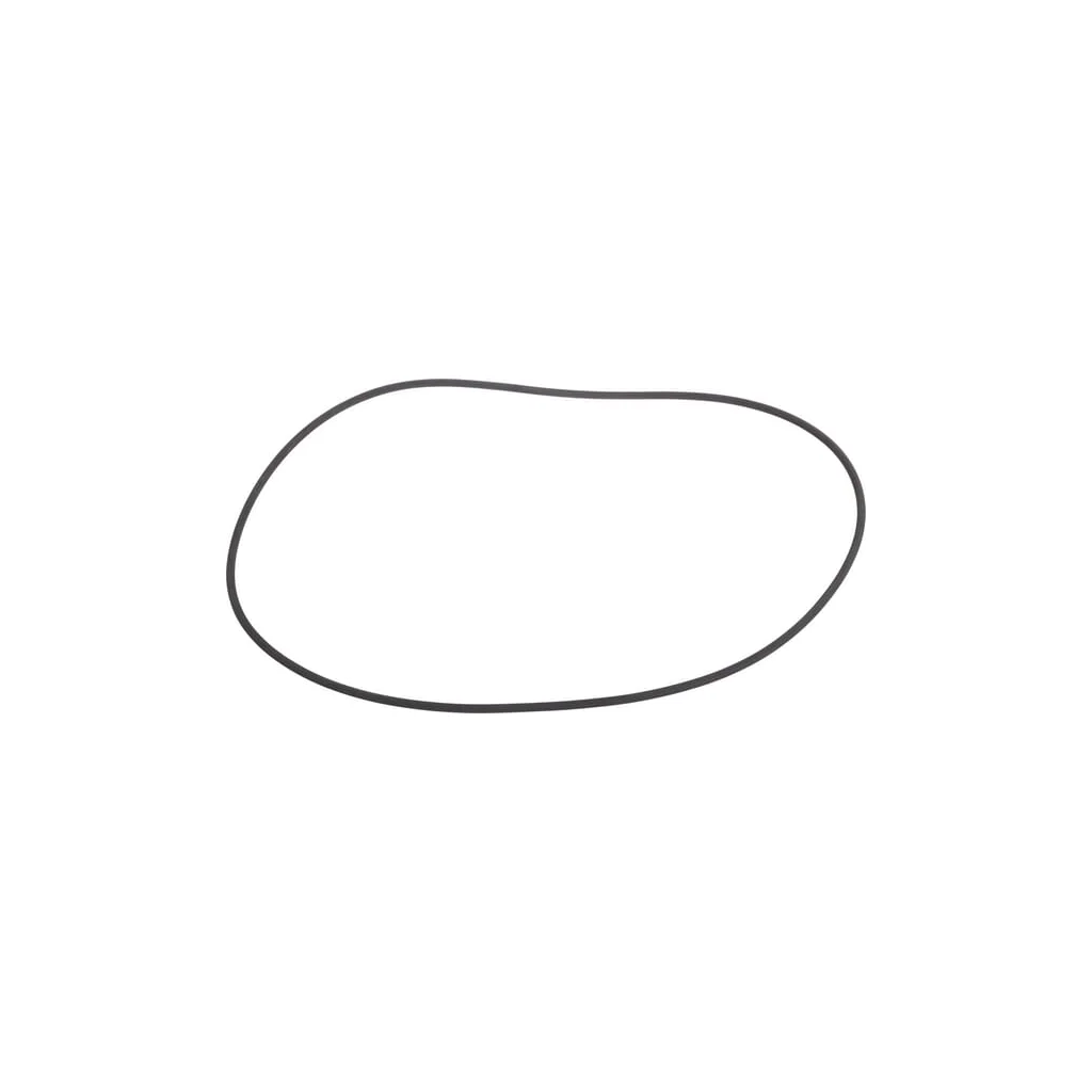 [AMAT2-269633] O-ring CI133757