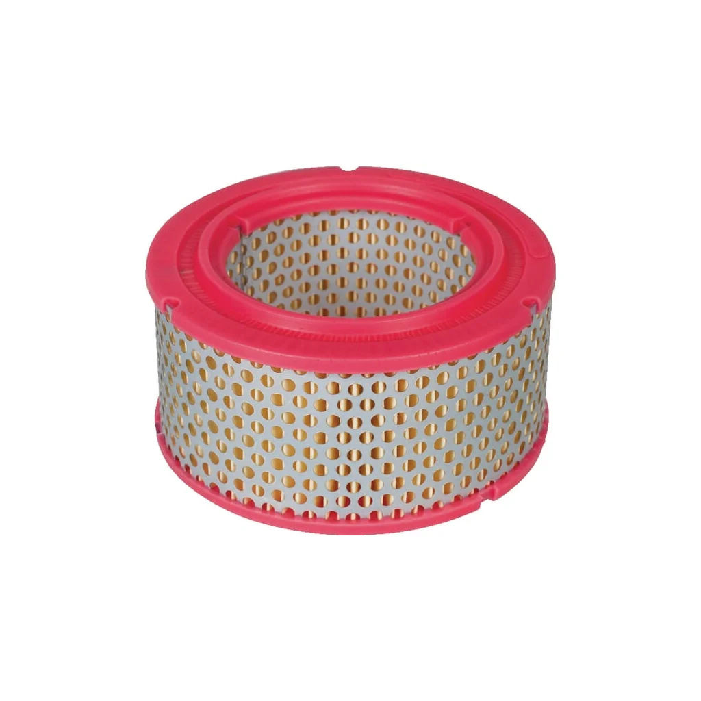 [AMAT2-263832] Element filtru aer C1213