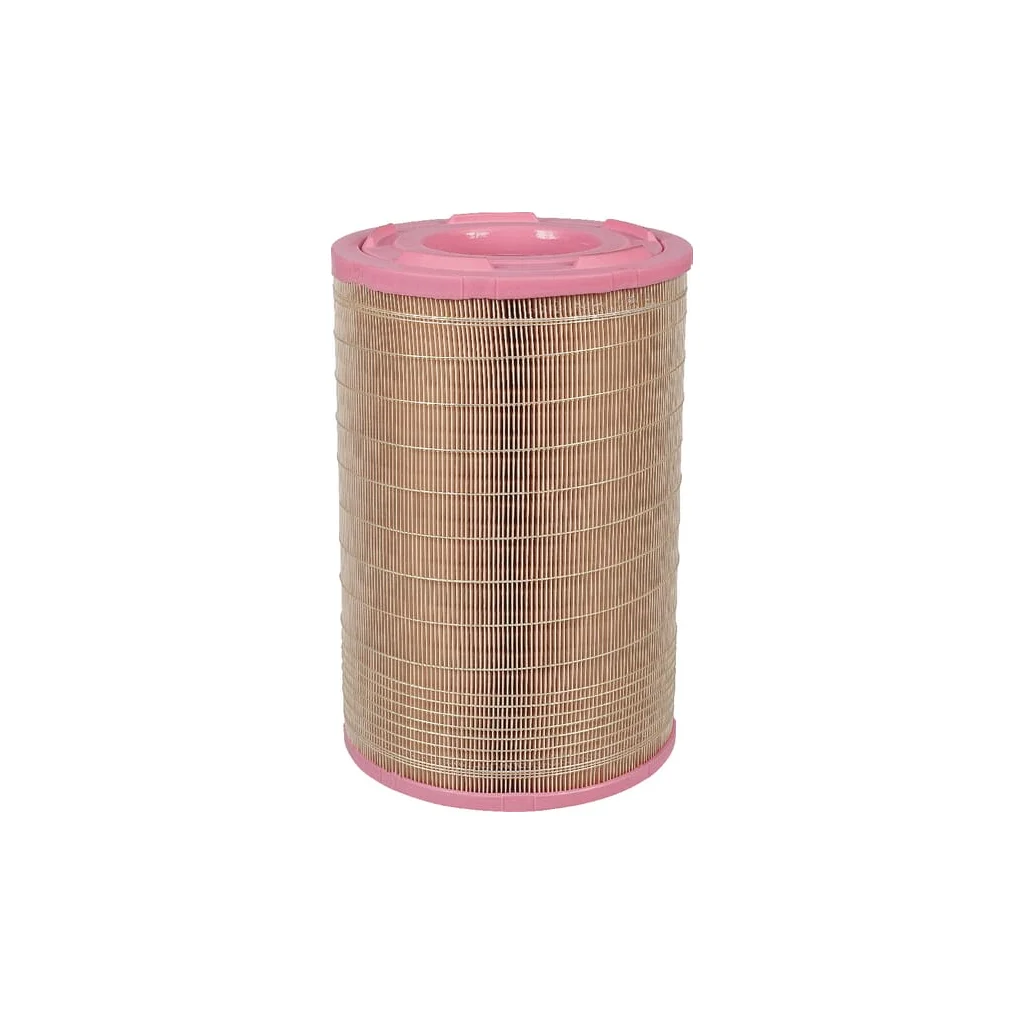 [AMAT2-263863] Element filtru aer C257301