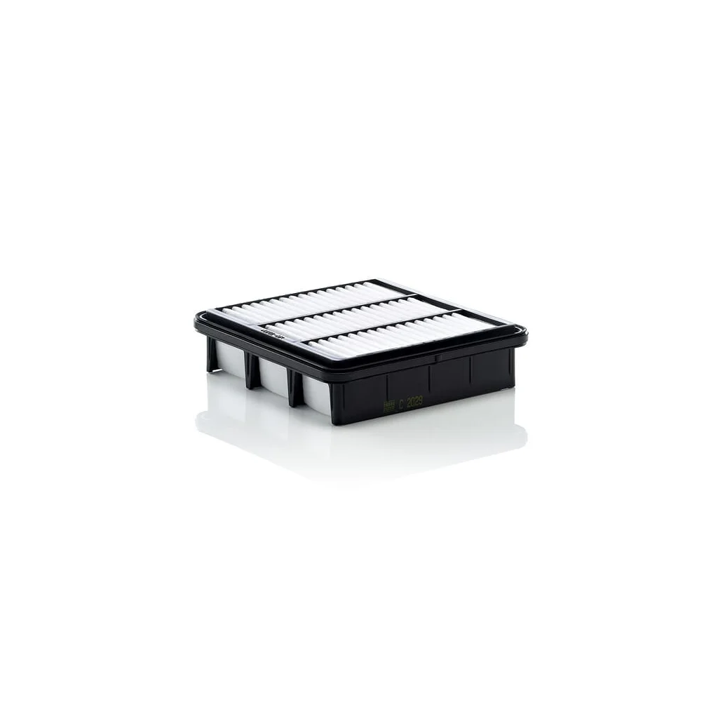 [AMAT2-263955] Element filtru aer C2029GJ