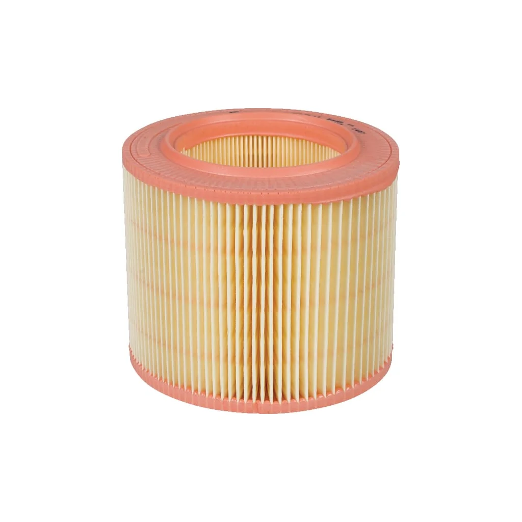 [AMAT2-264017] Element filtru aer C15671